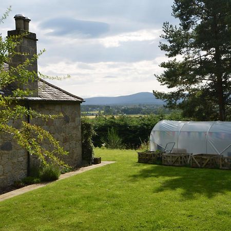 Amazing Cottage With Private Indoor Swim Pool And Hot Tub Grantown-on-Spey Dış mekan fotoğraf
