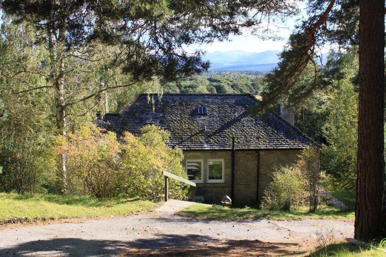 Amazing Cottage With Private Indoor Swim Pool And Hot Tub Grantown-on-Spey Dış mekan fotoğraf