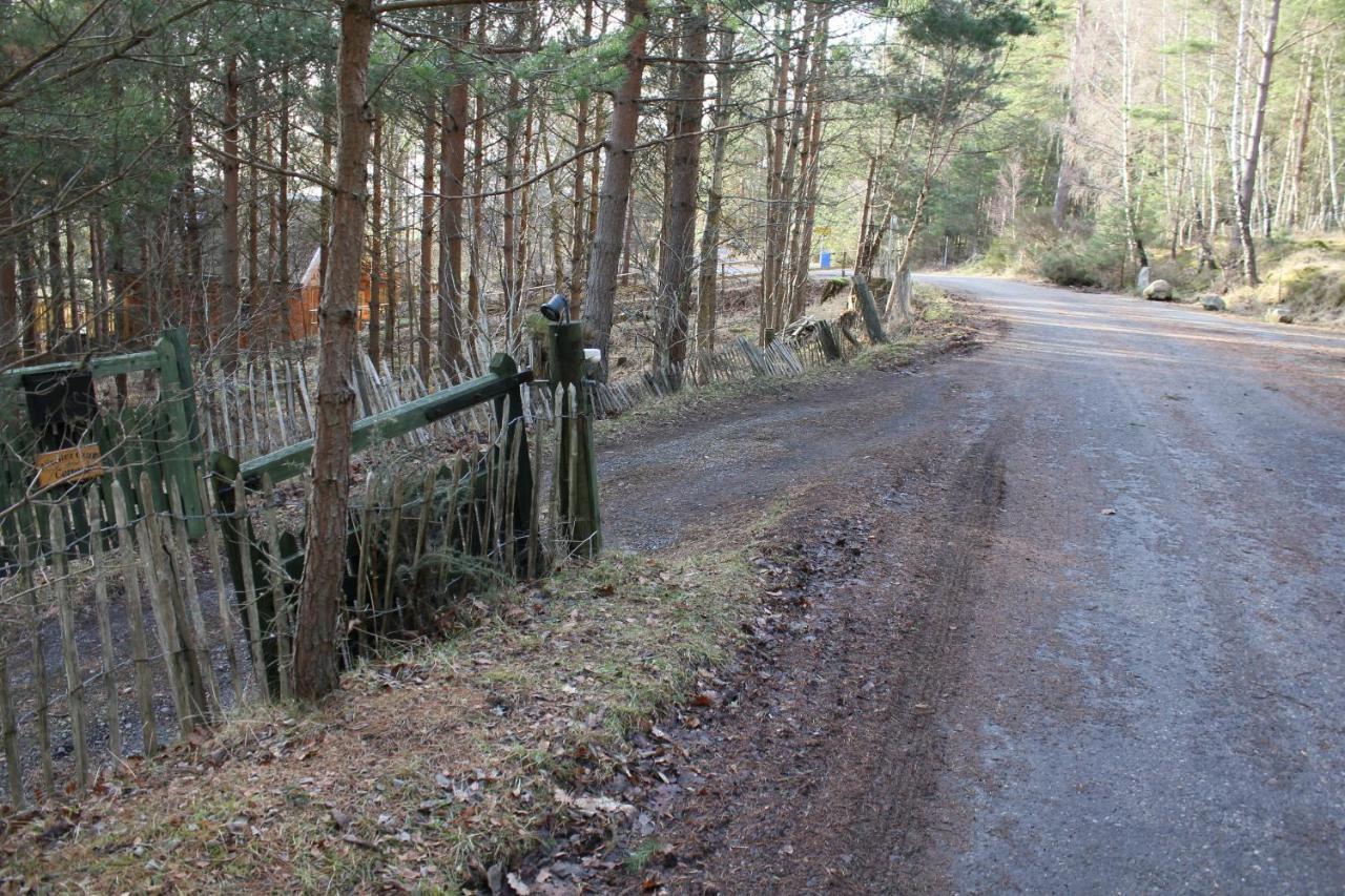 Amazing Cottage With Private Indoor Swim Pool And Hot Tub Grantown-on-Spey Dış mekan fotoğraf