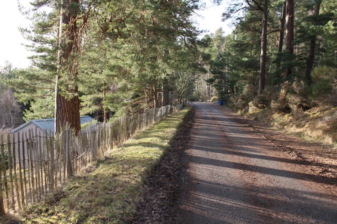 Amazing Cottage With Private Indoor Swim Pool And Hot Tub Grantown-on-Spey Dış mekan fotoğraf